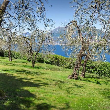 Villa Dismero-Un Oasi Di Lusso E Privacy ブレンゾーネ エクステリア 写真