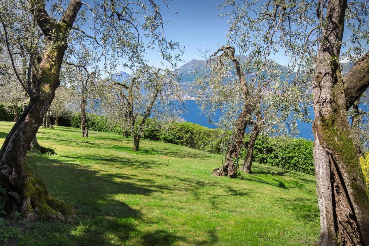 Villa Dismero-Un Oasi Di Lusso E Privacy ブレンゾーネ エクステリア 写真