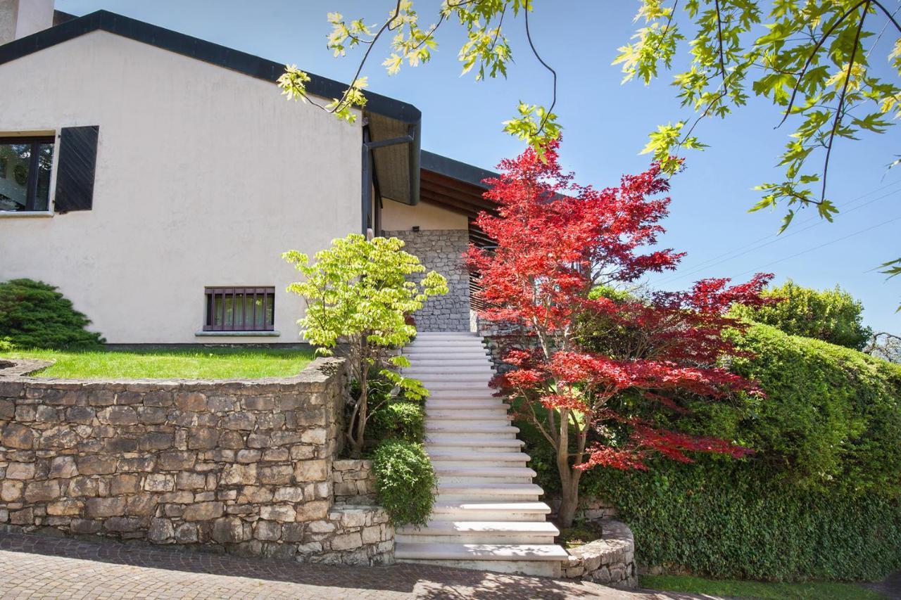 Villa Dismero-Un Oasi Di Lusso E Privacy ブレンゾーネ エクステリア 写真